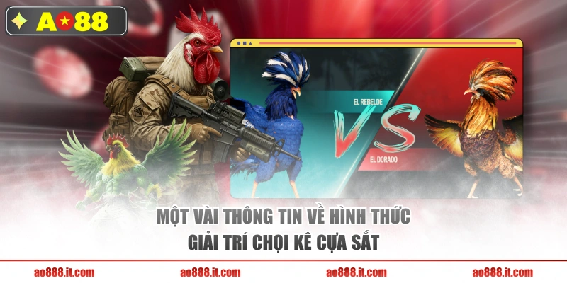 Một vài thông tin về hình thức giải trí chọi kê cựa sắt